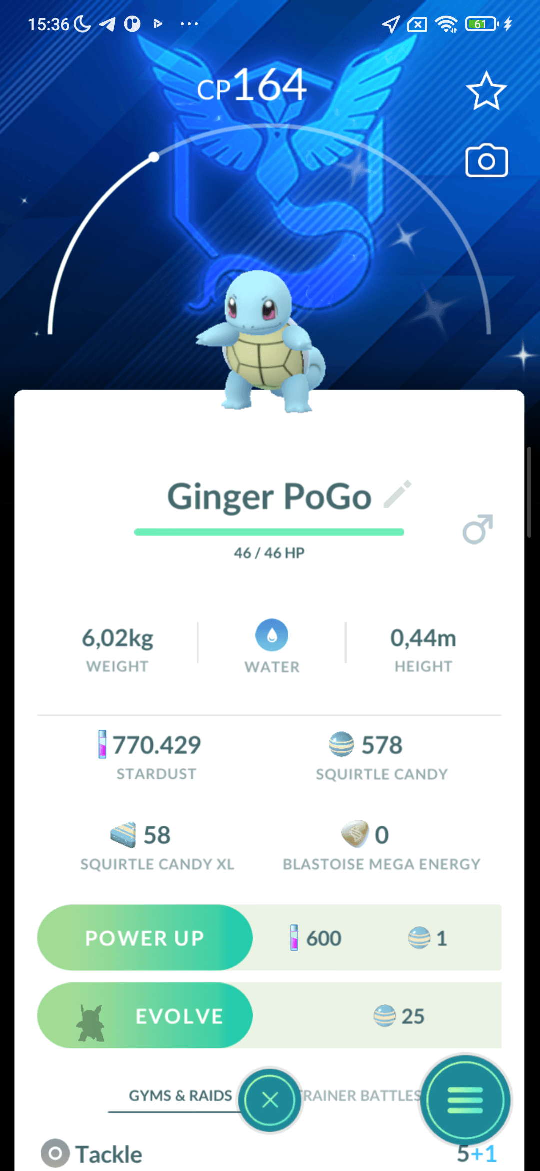 Squirtle Shiny — nền Mystic