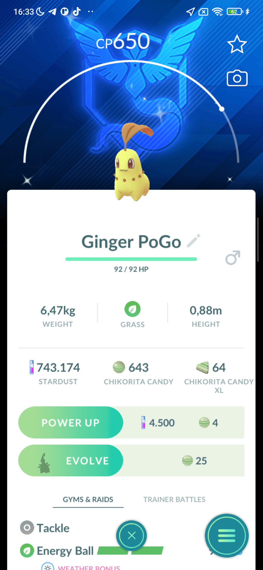 Chikorita Shiny — nền Mystic