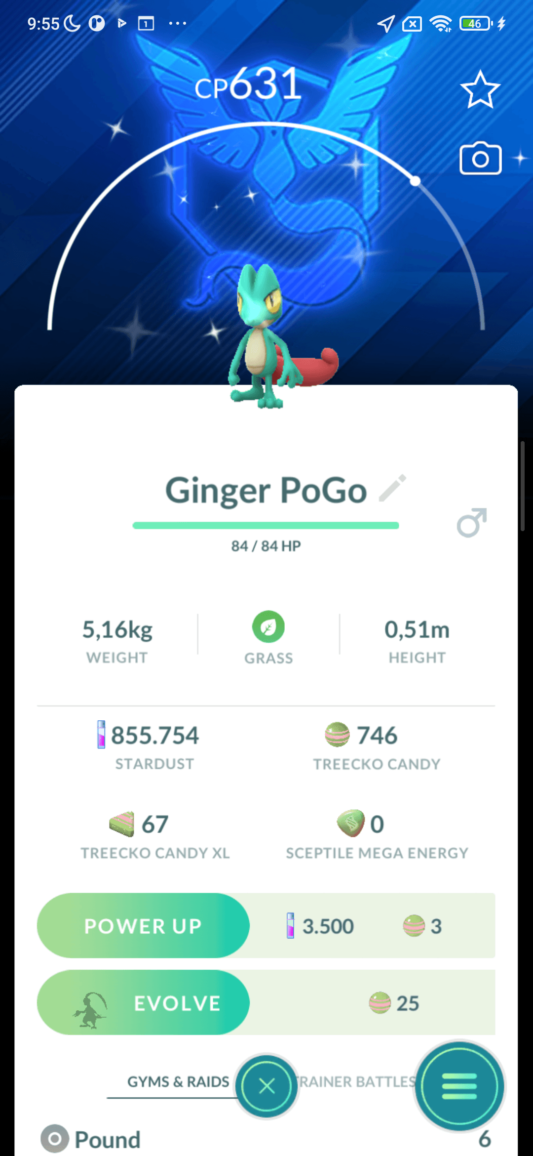 Treecko Shiny — nền Mystic