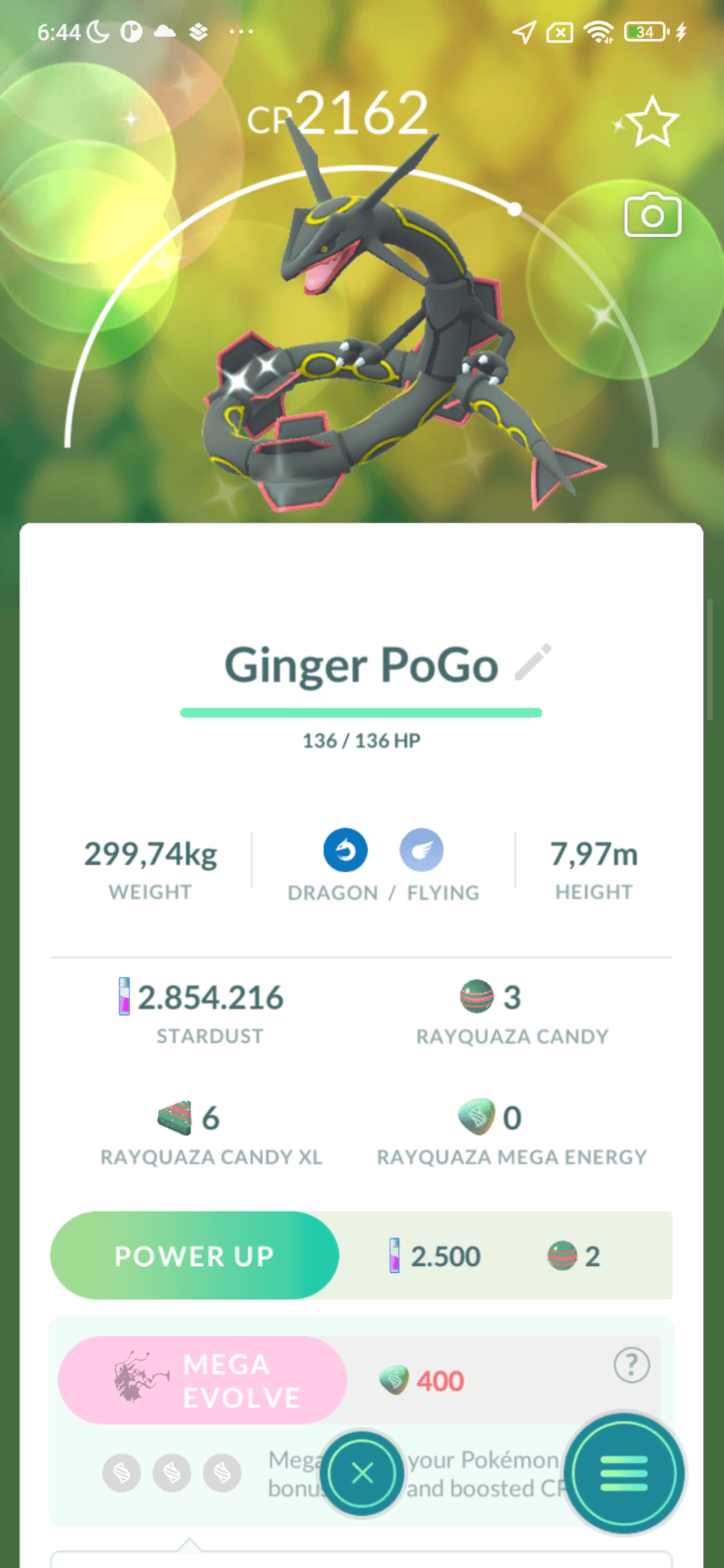 Rayquaza Shiny