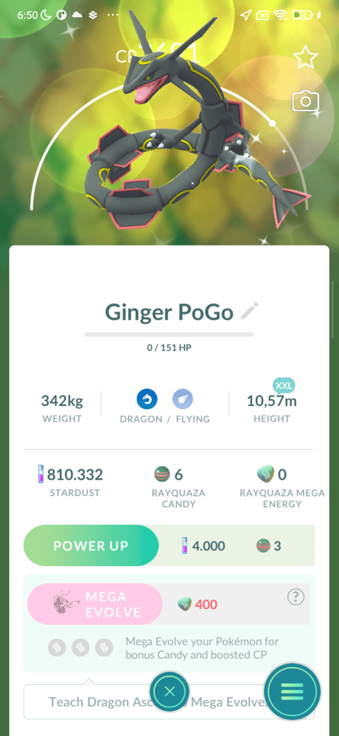 Rayquaza Shiny — cỡ XXL