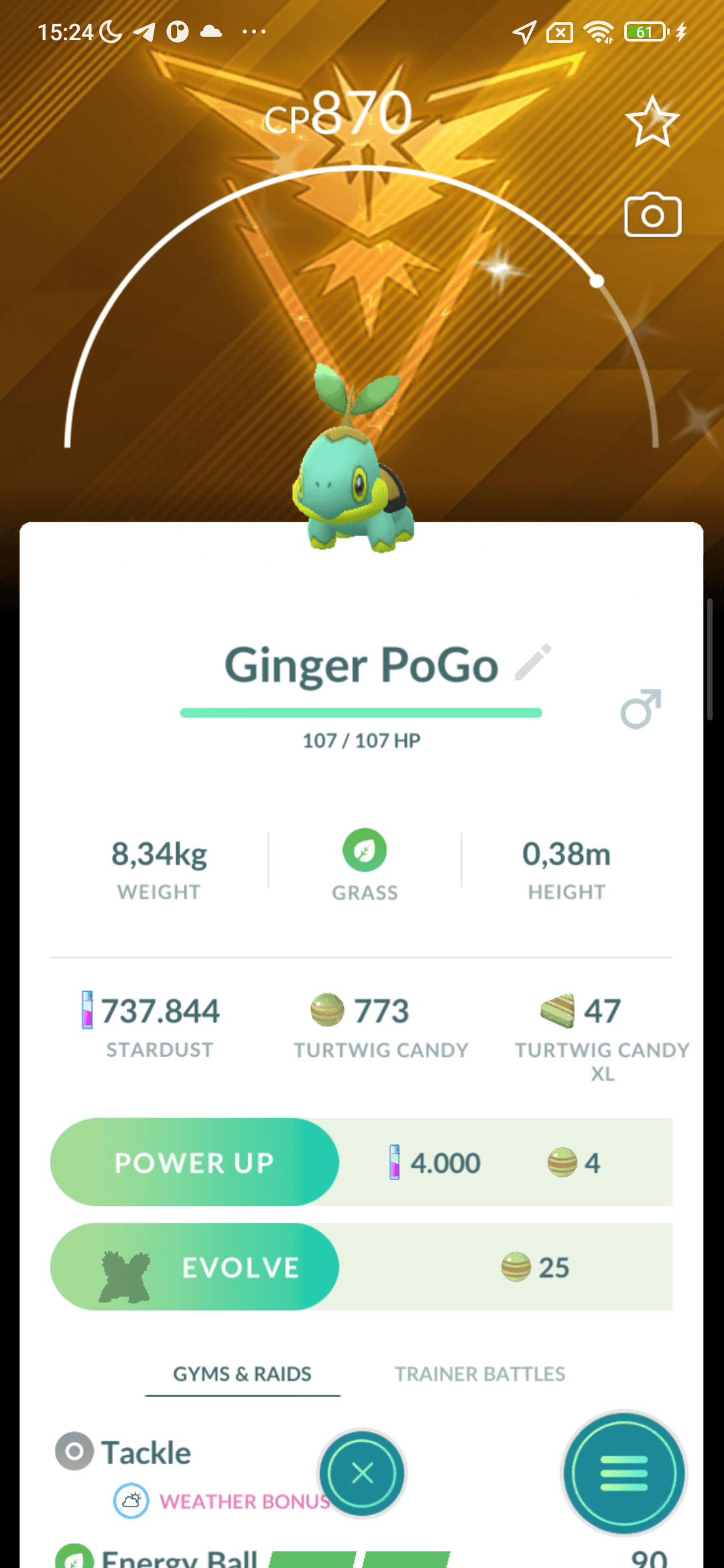 Turtwig Shiny — nền Instinct