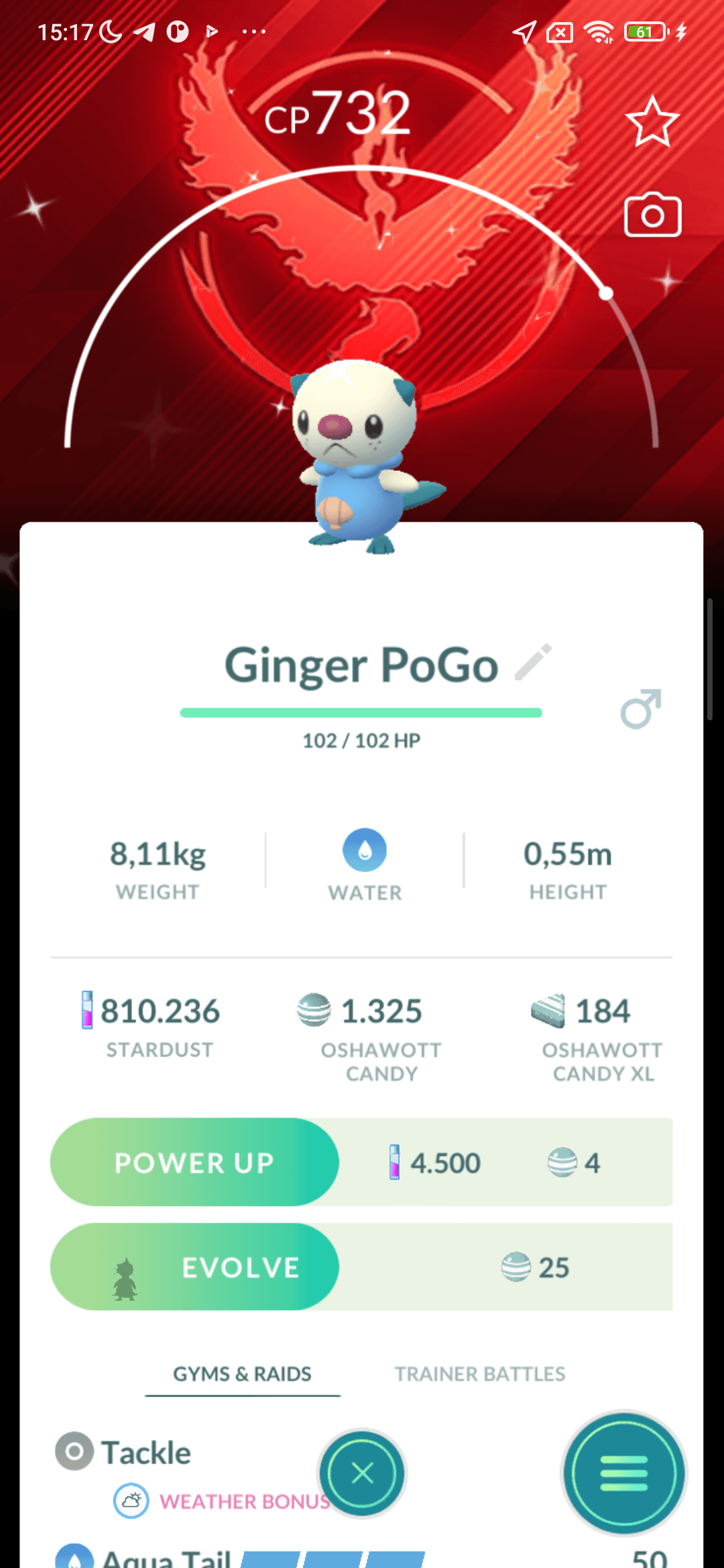 Oshawott Shiny — nền Valor