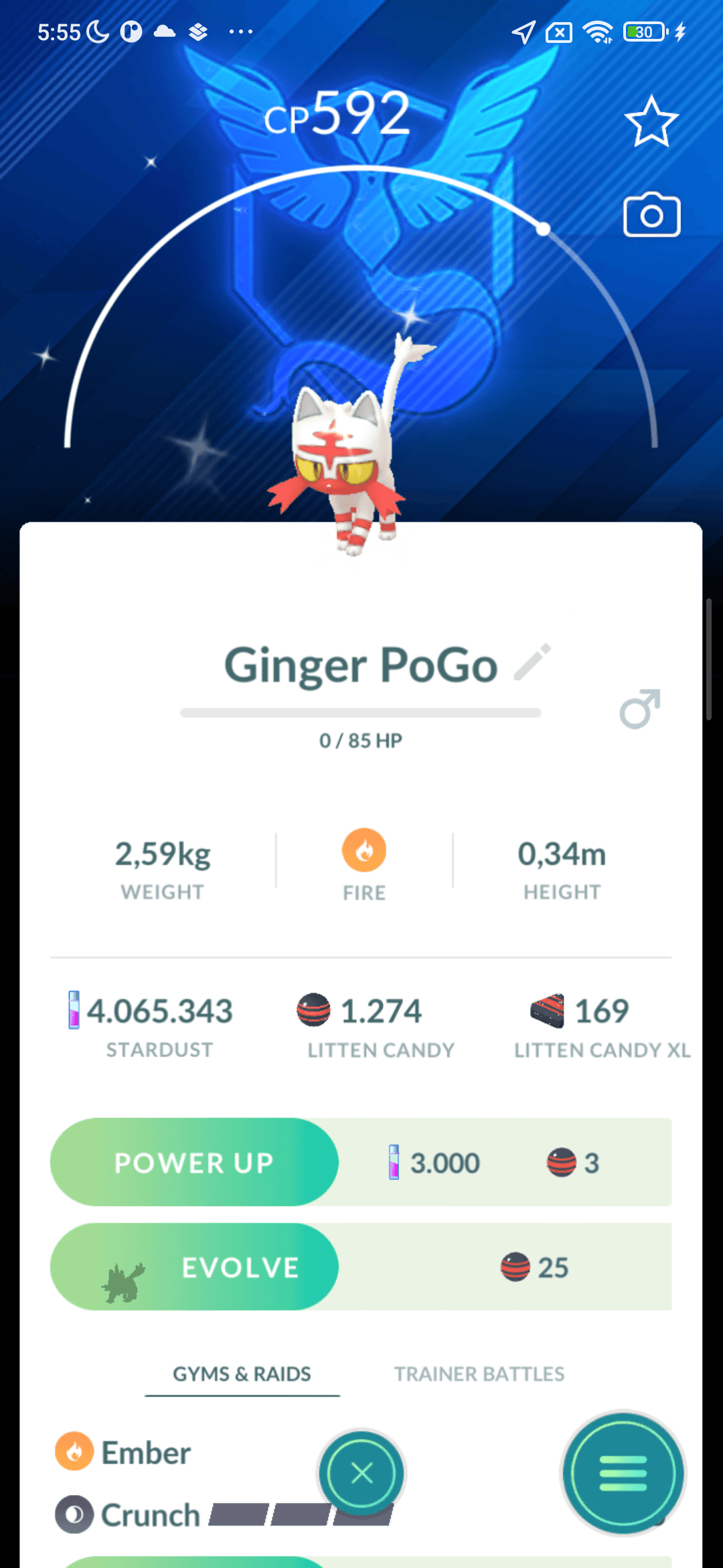 Litten Shiny — nền Mystic
