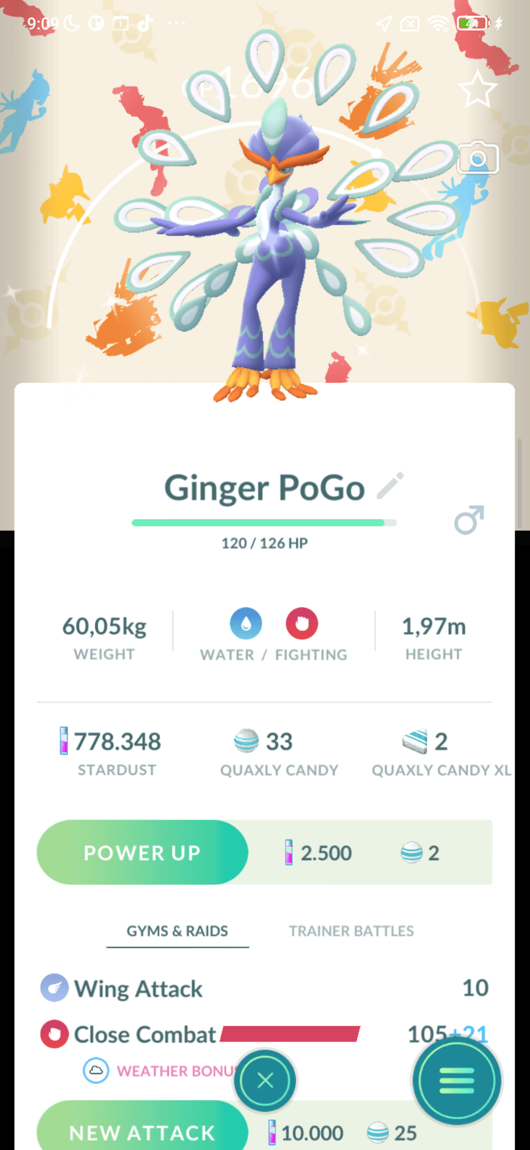 Quaquaval Shiny — nền Horizons